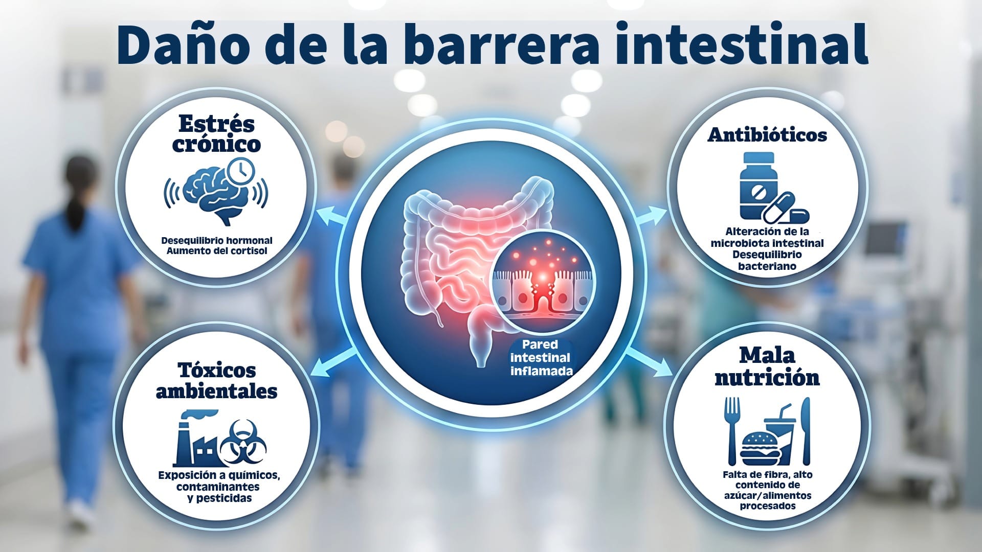 Daños de la barrera intestinal