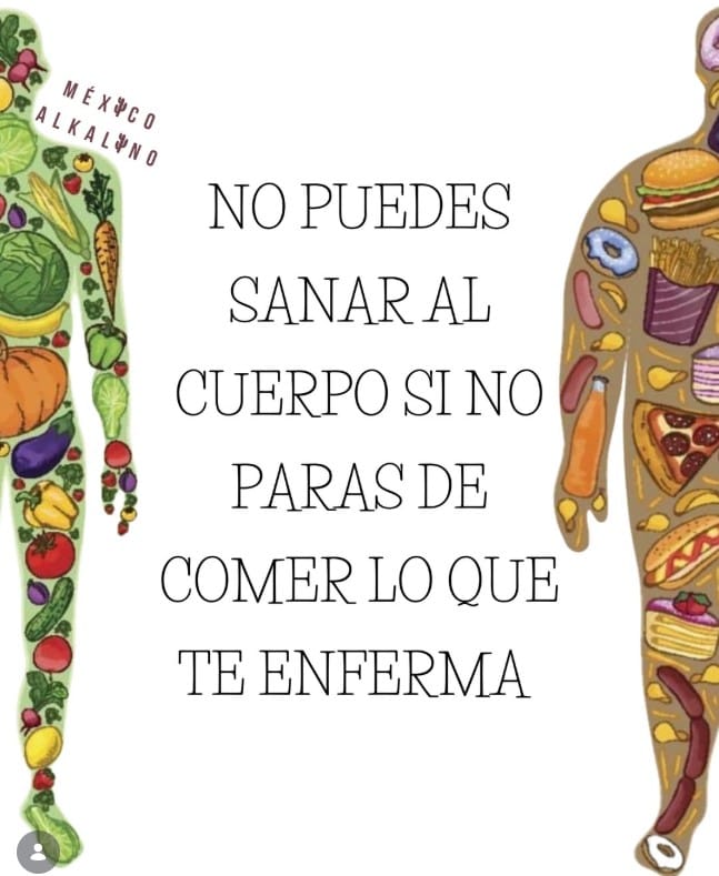 Comida sana y comida perjudicial