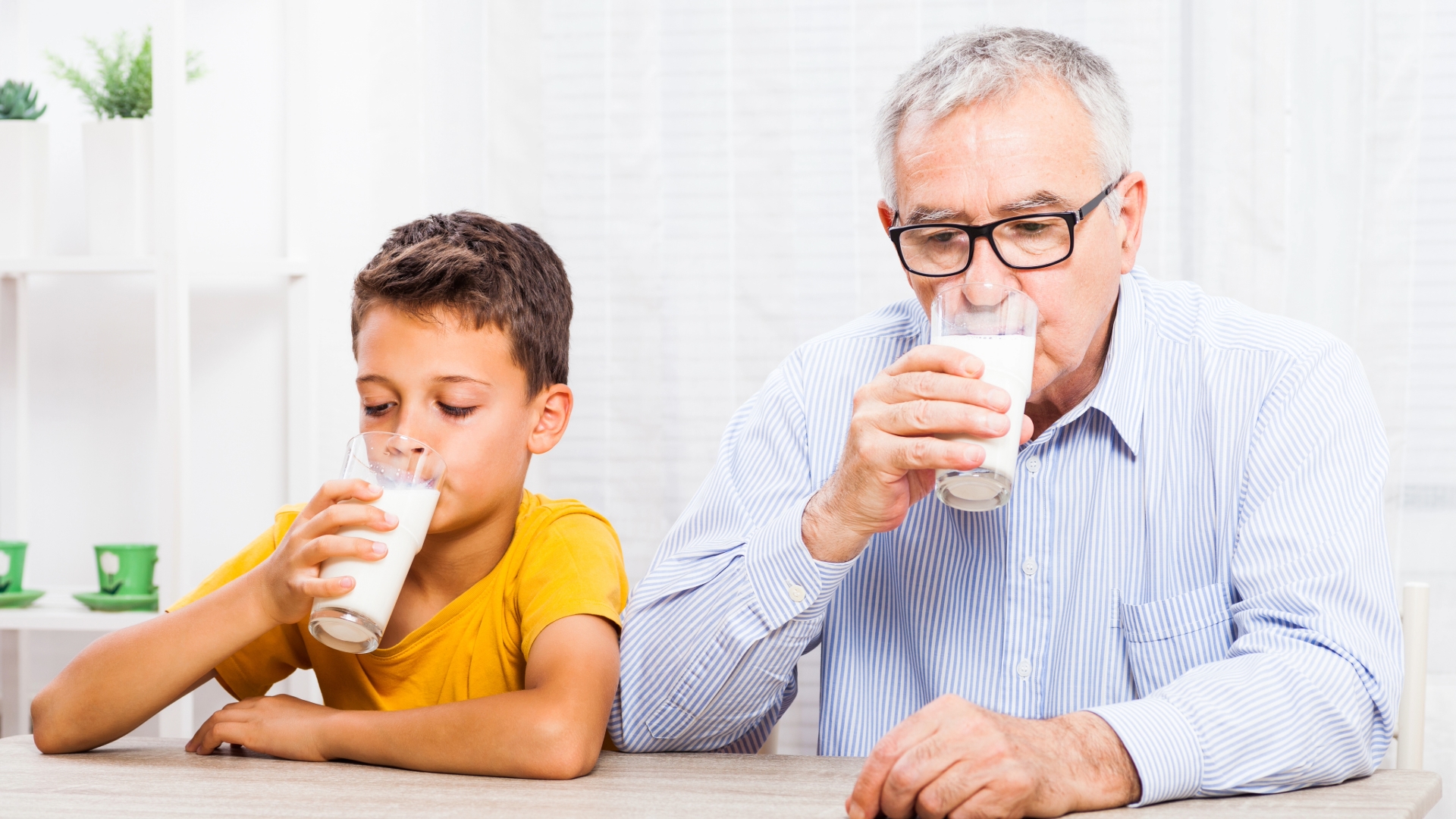 Niño y anciano tomando leche